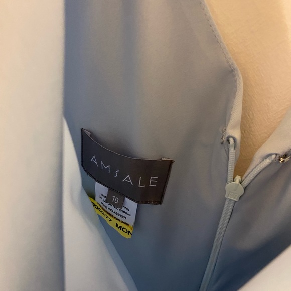 Amsale Marie Bridesmaid Dress in Color Ice Size 10 - Picture 5 of 10